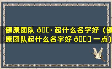 健康团队 🌷 起什么名字好（健康团队起什么名字好 🐒 一点）